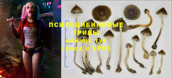 Альфа ПВП Белокуриха