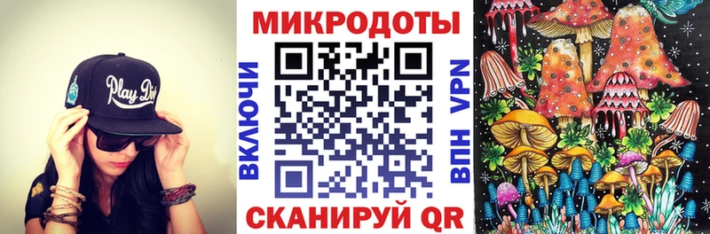 Галлюциногенные грибы Psilocybine cubensis  Вязьма 